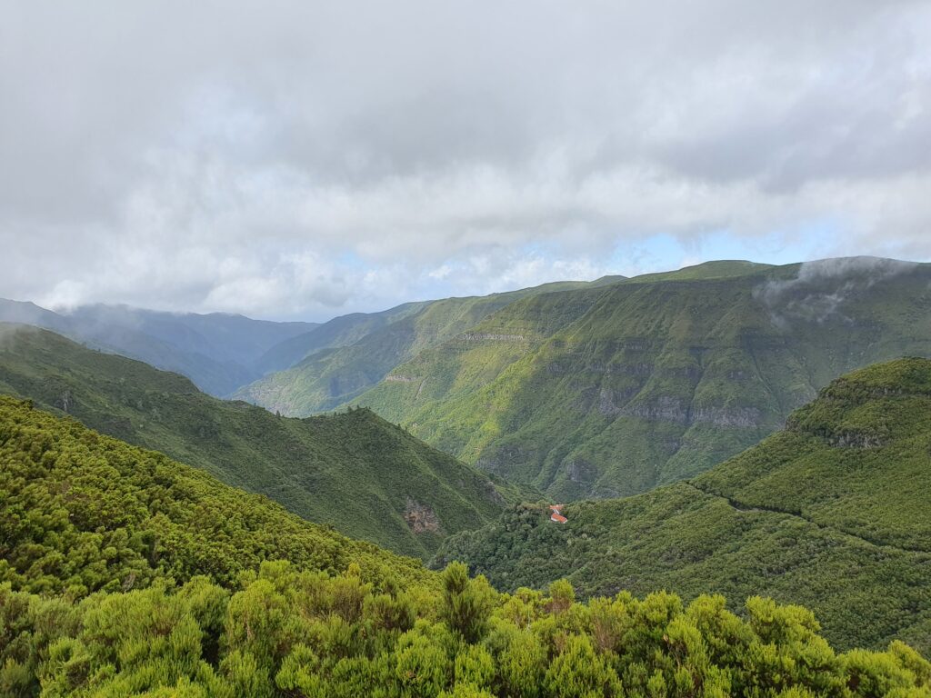 Madeira - Levada do Alecrim