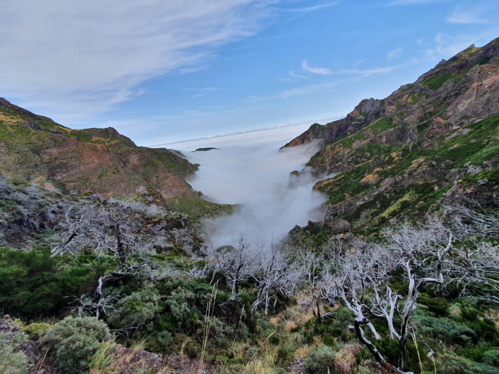 Madeira - Vereda do Areeiro